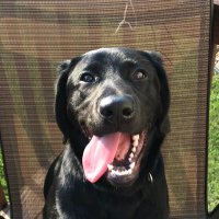 Dailyj (@jtdaily83) 's Twitter Profile