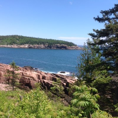 ItsMeDoogy_Lime's profile picture. Finding my voice.