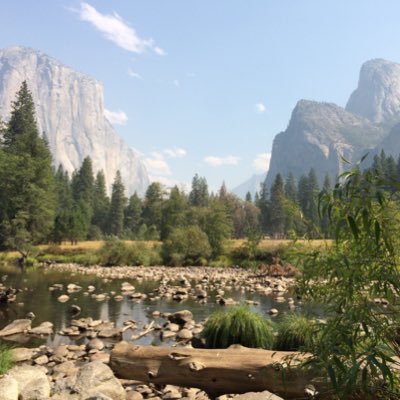 nTOR_122's profile picture. Neuroscientist