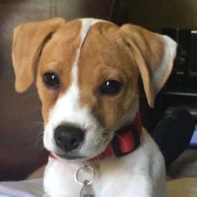 calsarn's profile picture. Patriot from the Midwest, I love animals, my family and this country. 🦅🇺🇸 MAGA🇺🇸🦅 🚫DM’s 🚫Soliciting 🚫Porn