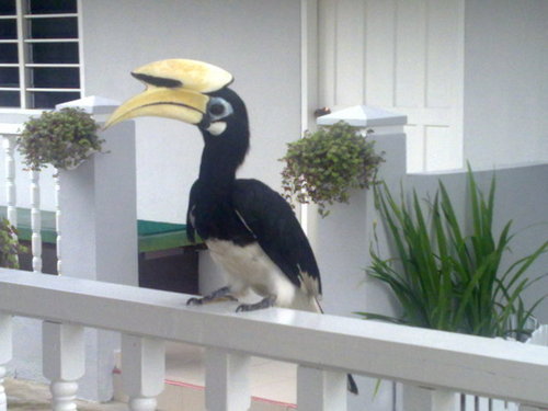 NipahGuesthouse's profile picture.