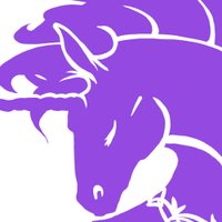 Unicornis Costumes 🦄 (@unicornisc) 's Twitter Profile