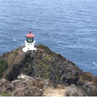 Lisette dePillis (@ldepillis) 's Twitter Profile