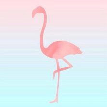 berry_222's profile picture. 