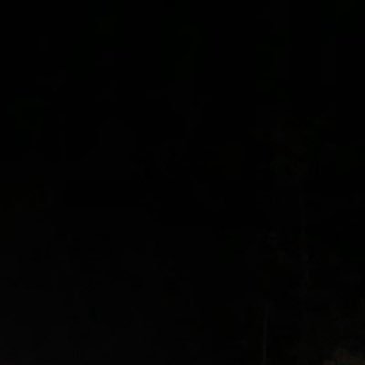 kingm1994's profile picture. 