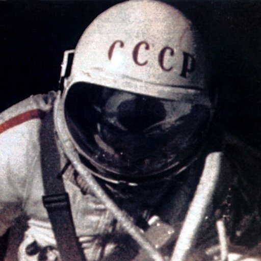 DongleBoi's profile picture. 