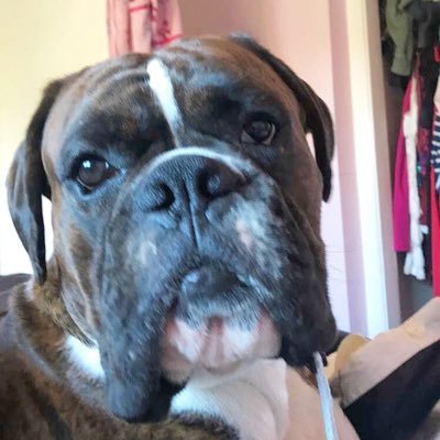 Visit Russell_theboxer Profile