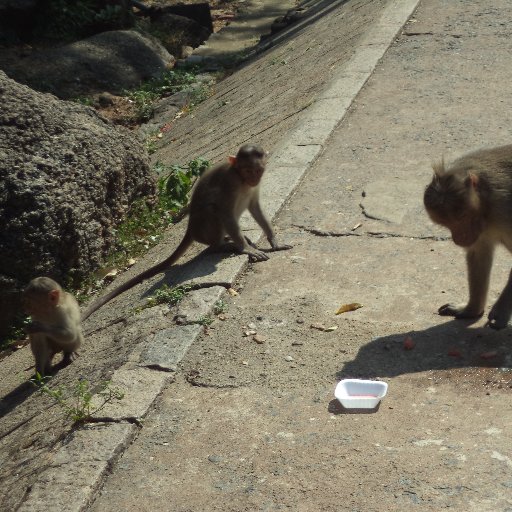 enterindia's profile picture. A better India and world is in our hands. In this war on disease, support gov and communities instead of playing politics.

Namaste. Vanakkam.
Satyameva Jayate.