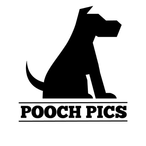 Pooch Pics