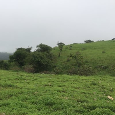 ولاية الخابورة  سلطنة عمان