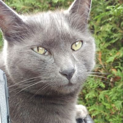 benmat71's profile picture. 