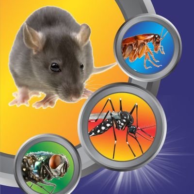 Residential and commercial pest control services