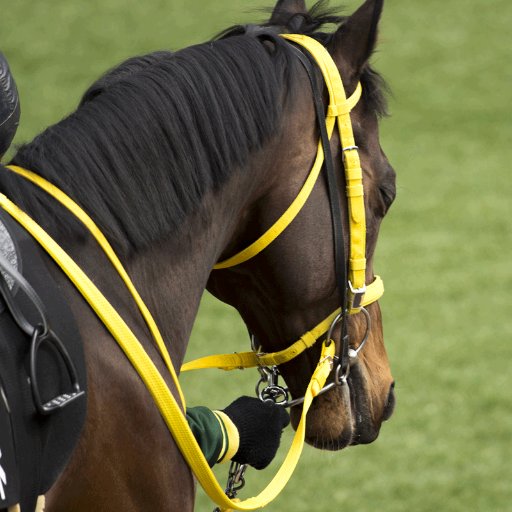 競馬予想×芸能人をテーマにした元祖サイトの中の人。競馬好き芸能人の競馬予想を逆手に取って馬券を当てようという競馬ブログを運営中！ただ、最近は後発の模倣サイト＆ニュースにおされSEOで苦戦中。それでも毎週コツコツと更新＆予想頑張っています！LINEなどもあるので応援よろしくお願いします。