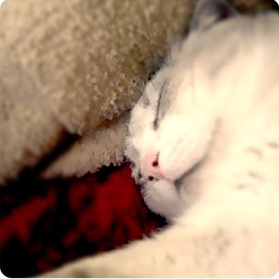 hinosuke4188's profile picture. アメコミ読み始めました。 batman/superman/wolverineなどの有名どころをちょこちょこと。映画。将棋。ジョジョ。実写岸辺露伴 懺悔室楽しかったね〜〜〜！！ 年齢20+