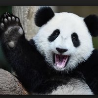 Bob ๐ด๓ ง๓ ข๓ ณ๓ ฃ๓ ด๓ ฟ๐ช๐บ Living in occupied Scotland (@asimov200) 's Twitter Profile Photo Bob ๐ด๓ ง๓ ข๓ ณ๓ ฃ๓ ด๓ ฟ๐ช๐บ Living in occupied Scotland (@asimov200) 's Twitter Profile Photo