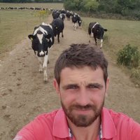 Luke casey (@lu_casey) 's Twitter Profile