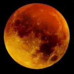 ALE_SESHAT's profile picture. 