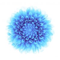 MINDS (@mindsapp) 's Twitter Profile