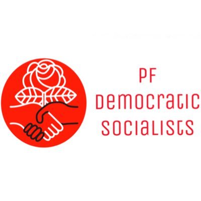 Official account of Potomac Falls YDSA | 🚨next meeting: 5/20, 8:40am rm 244🚨 | link to club presentations and resources below🤩