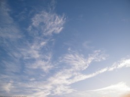 I am a photographer aimed to share my captures with the world :)