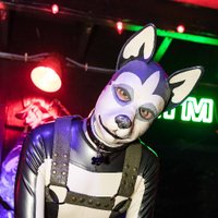 Chance @Best Pup (@bestpup) 's Twitter Profile