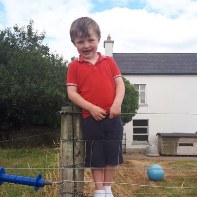 Davb51's profile picture. Dairy farmer