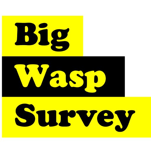 The Big Wasp Survey  - harnessing the power of the public to help scientists learn more about wasps! And spreading the #wasplove