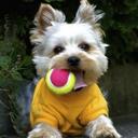 Ellena Park - @EllenaMJPark - Twitter