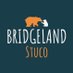BHS Student Council (@bridgelandstuco) Twitter profile photo BHS Student Council (@bridgelandstuco) Twitter profile photo