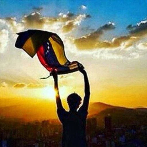 Por el rescate de la Democracia Venezolana y la Libertad de los Venezolanos. Apostamos #PorUnPaisDeCiudadanos y no un país de habitantes.