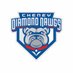 Cheney Diamond Dawgs (@DawgsCheney) Twitter profile photo