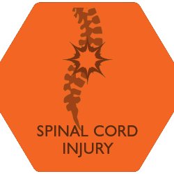 ACRM Spinal Cord Injury Group Profile