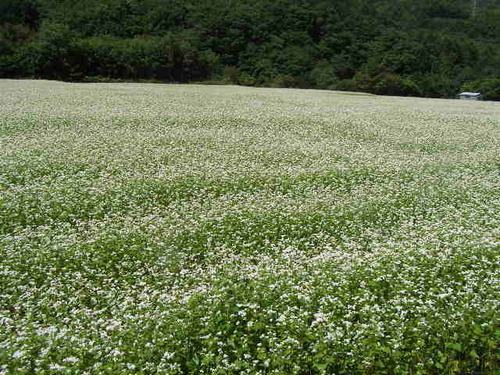 「茨城の温泉案内」と「茨城の蕎麦案内」「温泉と蕎麦の徒然日記」を管理している暇人ＰＯＮＹです。
　アダルトと外国語はご勘弁を！
　お気軽に！。
http://t.co/eIvaxafe6R