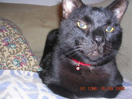 Kissinger73's profile picture. Power=Force+Time