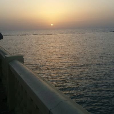 كاتبة صحفية أعشق التاريخ
