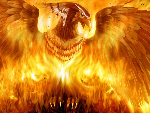 cicambus's profile picture. 