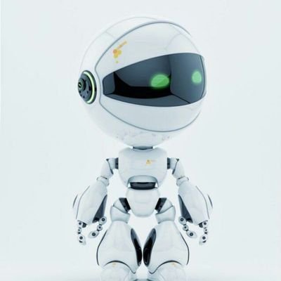wenhj1's profile picture. web developer