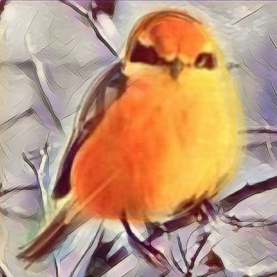 @ モズさんのプロフィール画像