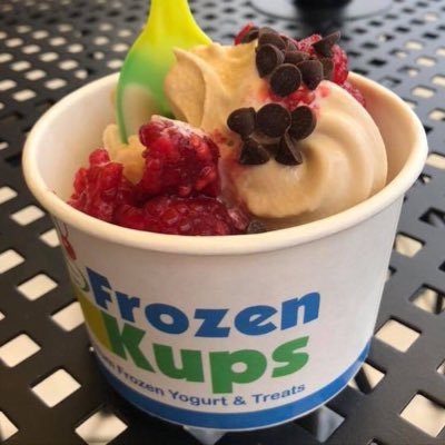 We are a Premium Frozen Yogurt & Treat Shop. Variety of Gelatos, Sorbets, Italian Ice & Yogurts. No need to weigh your Kup. We have set prices