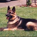 Jack Connors - @Jacko02 - Twitter