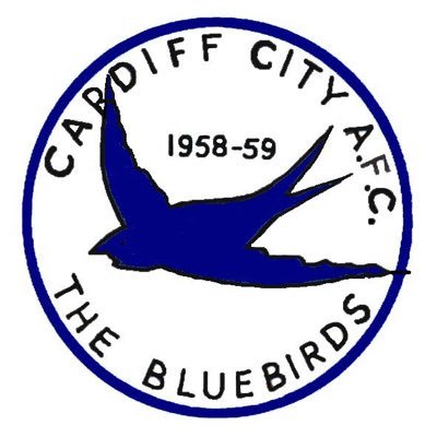 Husband, father, Football fan: Cardiff City - the Bluebirds. U.S sports :Tampa Bay Rays - Jacksonville Jaguars - Orlando Magic - Anaheim Ducks