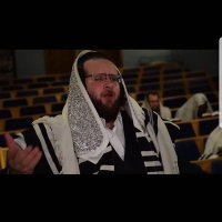 bentzyweberman (@bentzyweberman) 's Twitter Profile