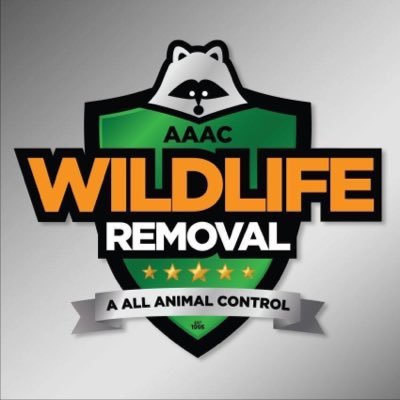 AAACWildlifeFLA's profile picture. 