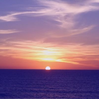 fh5Yaf9zCG1omS0's profile picture. 