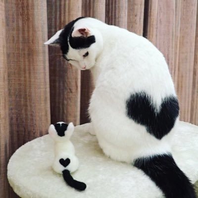 いくら (@0711Ikura) / Posts / X