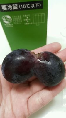 かめきちくんさんのプロフィール画像