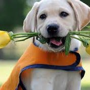 alexjohn (@alexjohnin) 's Twitter Profile