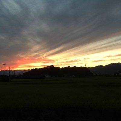 乃木坂46 櫻坂46 日向坂46のファンです。入学してくれる人お待ちしてます。気楽に絡みましょう。