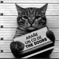 Perejop (@perejop) 's Twitter Profile