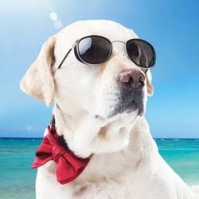 mattsun1000's profile picture. Aniki（@aniki_dsfx） さんが先生ですhttps://t.co/UCX8GEqrp7 、バイブル→ https://t.co/UuLFAYIGxb